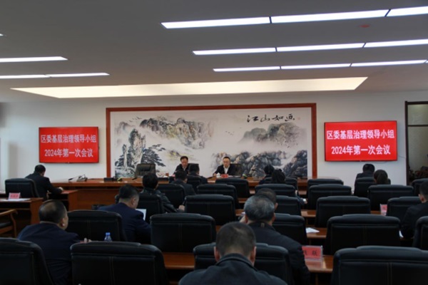 刘志浩主持召开区委基层治理领导小组2024年第一次会议