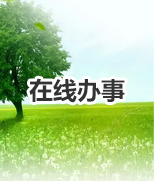 在线办事